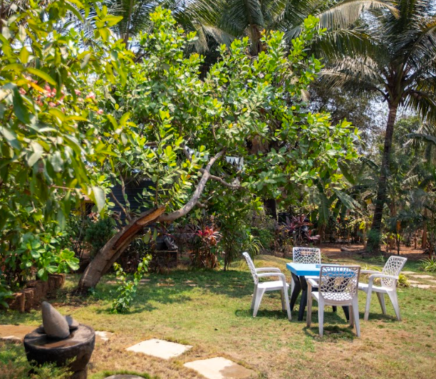 A outdoor garden coworking space at NomadGao Anjuna Goa India